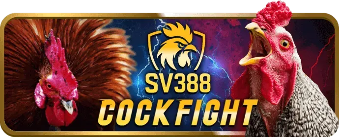 Kèo FTD (Hòa toàn trận) trong đá gà trực tuyến win555 casino
