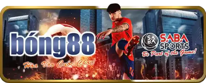 Kèo BDD (Hòa) trong đá gà trực tuyến win555 casino